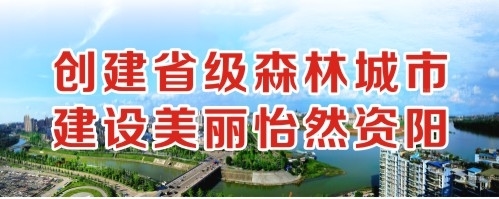 逼特逼视频在线免费观看创建省级森林城市 建设美丽怡然资阳